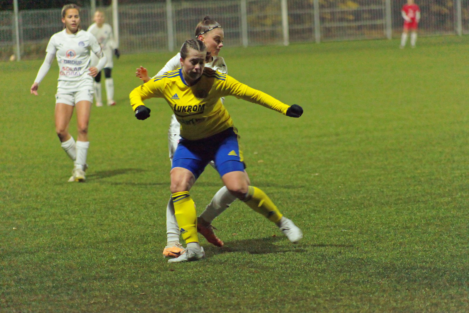 IMG_8423_20231124_zlnslo_2000