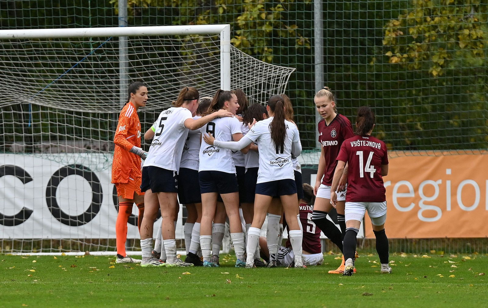 PJml_20231014_234844_web