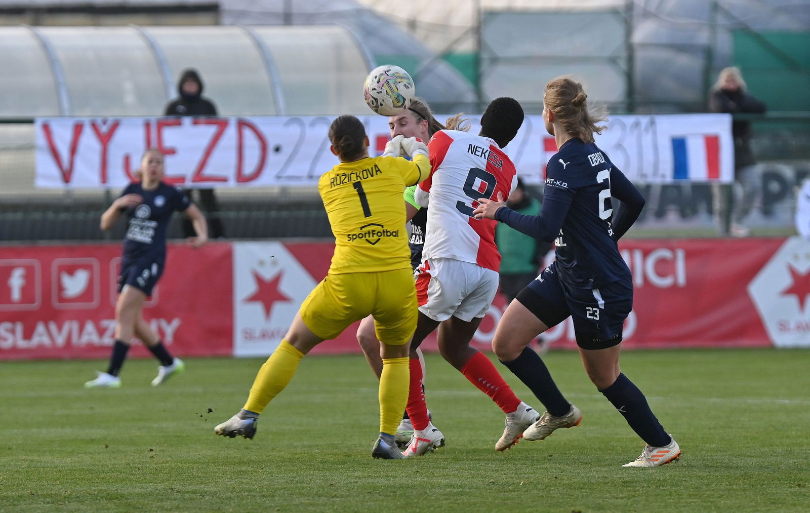 PJml_20231110_244633_web