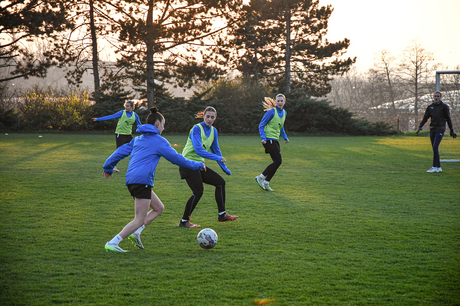 DSC_0448_20240307_pred_jarem_1920