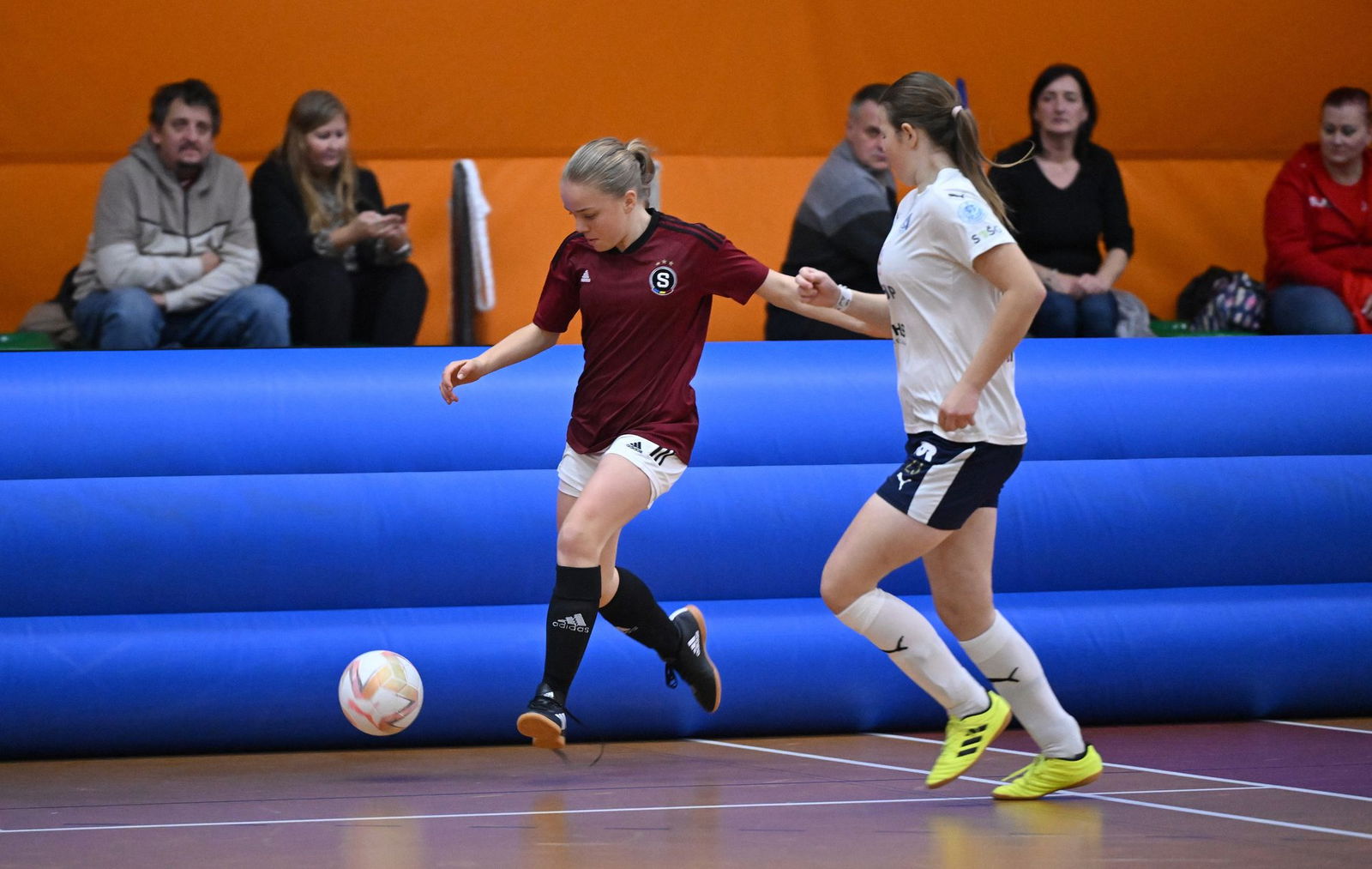 PJml_20241123_303514_web