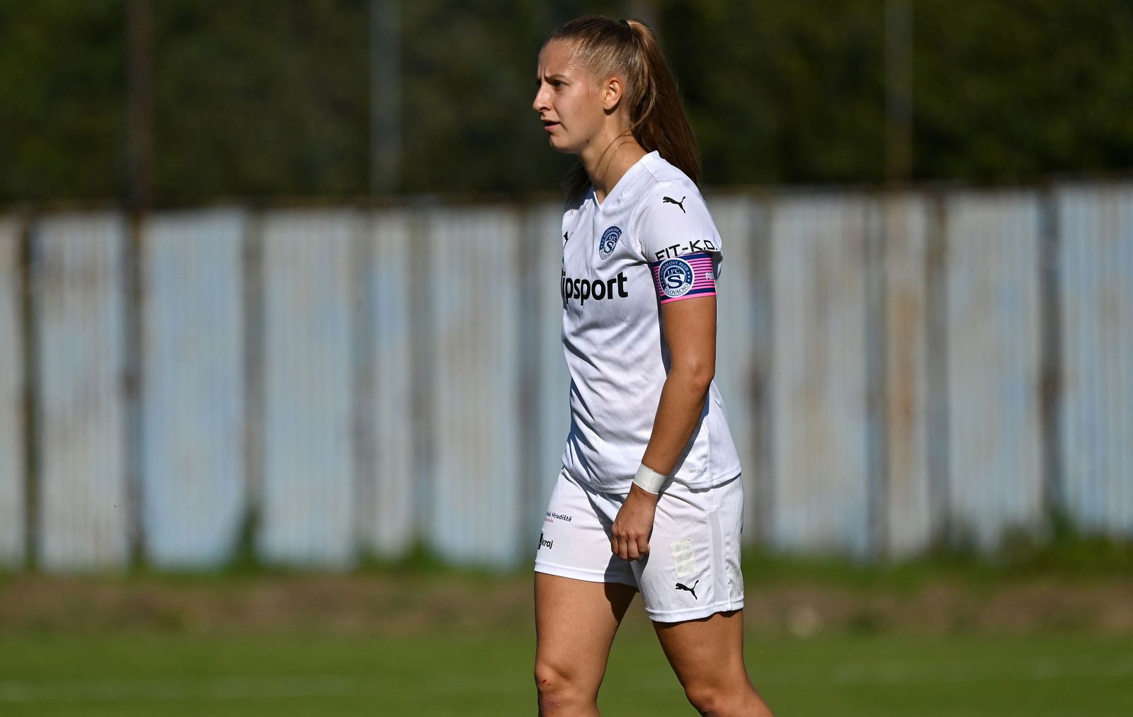 PJml_20240922_296729_web