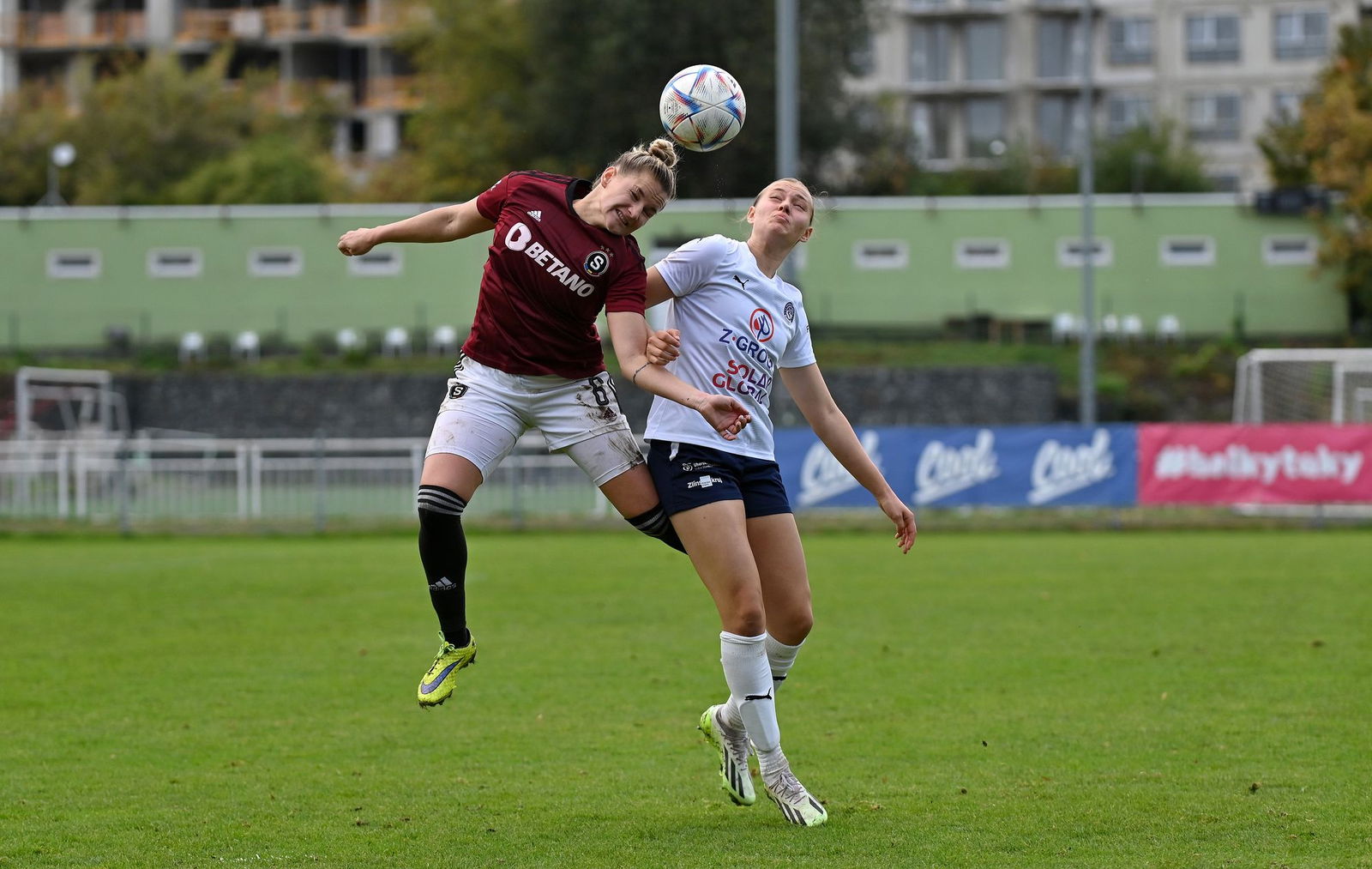 PJml_20231014_234908_web