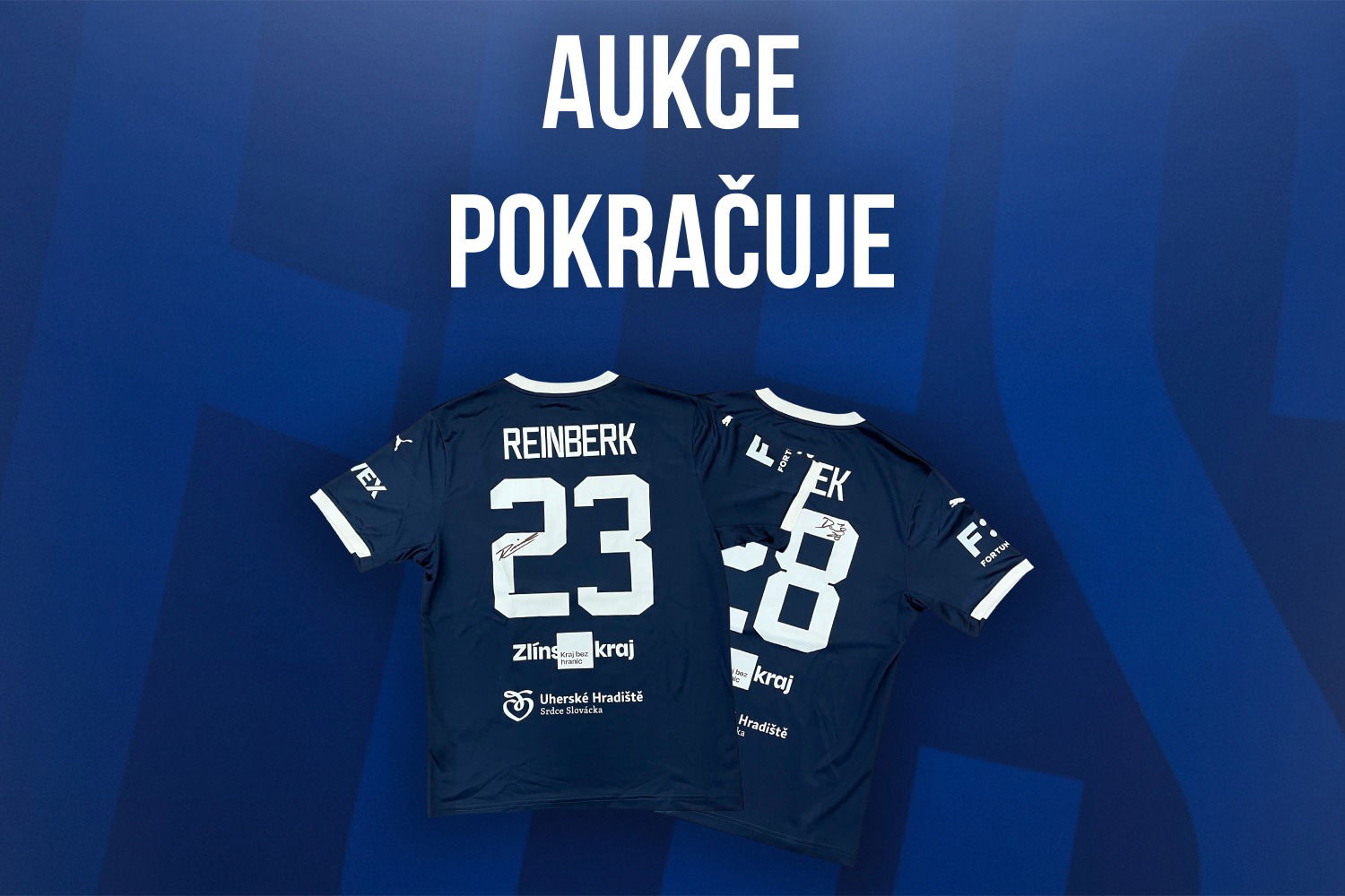 aukce-pokracuje050124