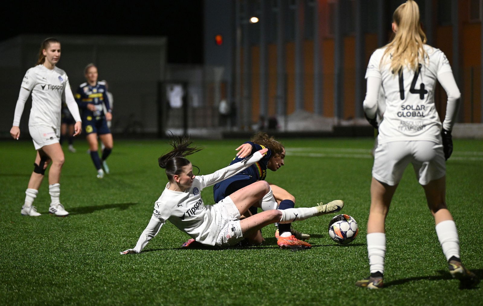 PJml_20250201_313075_web