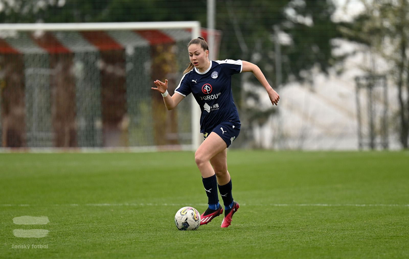 PJml_20230415_115061_web