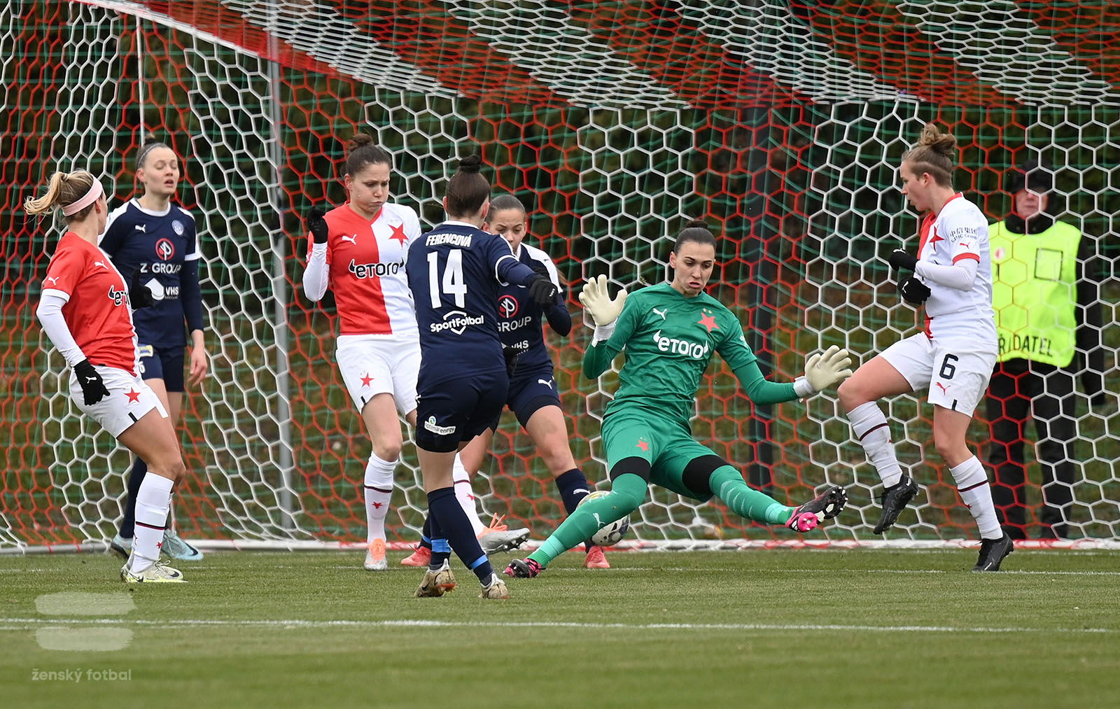 PJml_20230311_089848