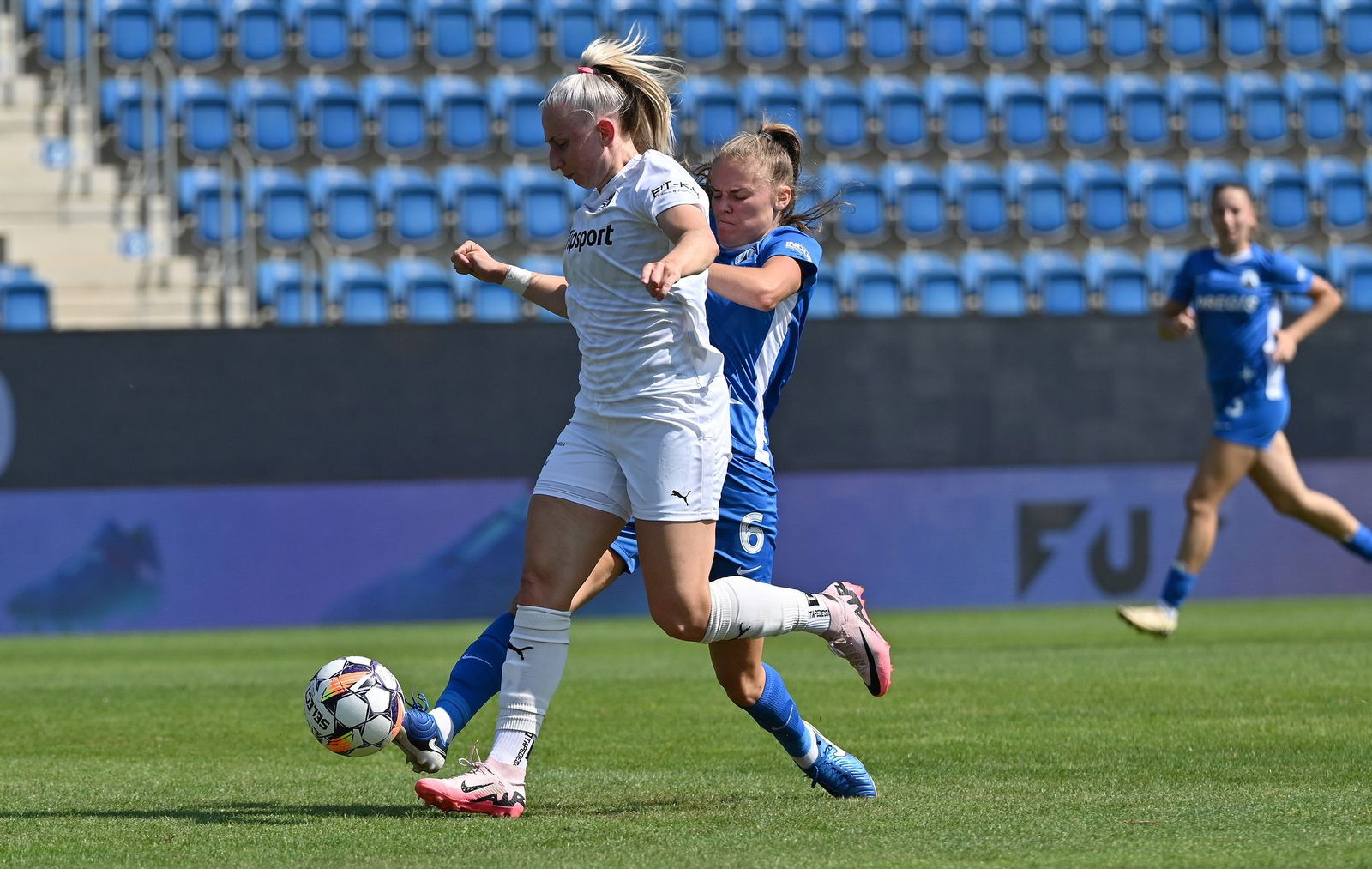 PJml_20240825_295234_web