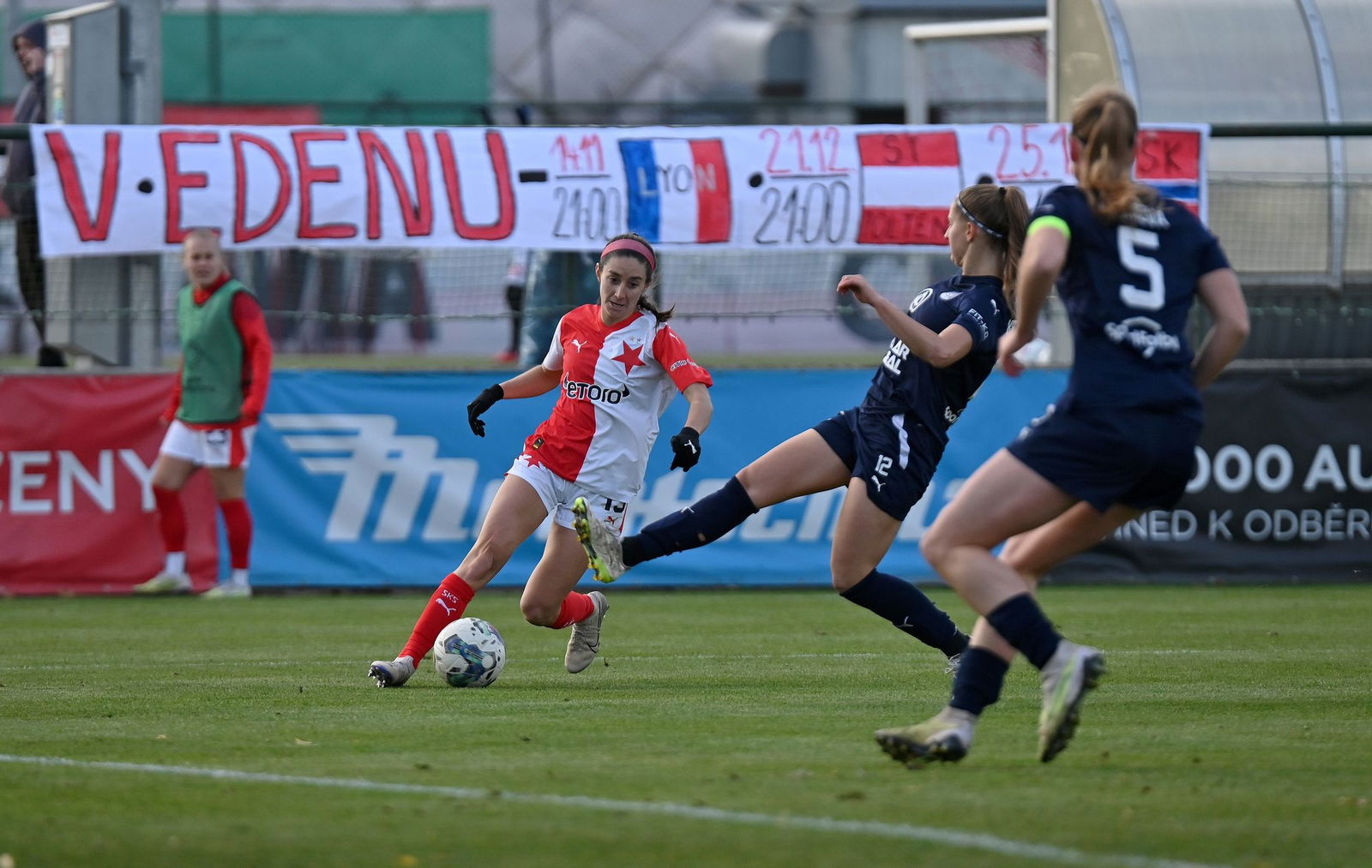 PJml_20231110_244634_web