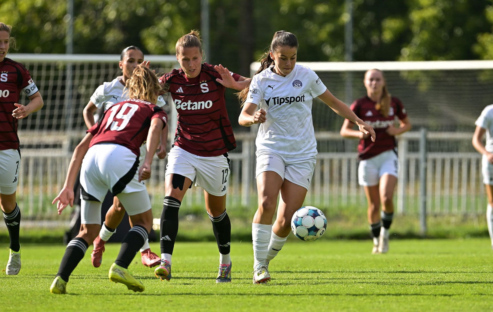 PJml_20250822_319264_web (2)