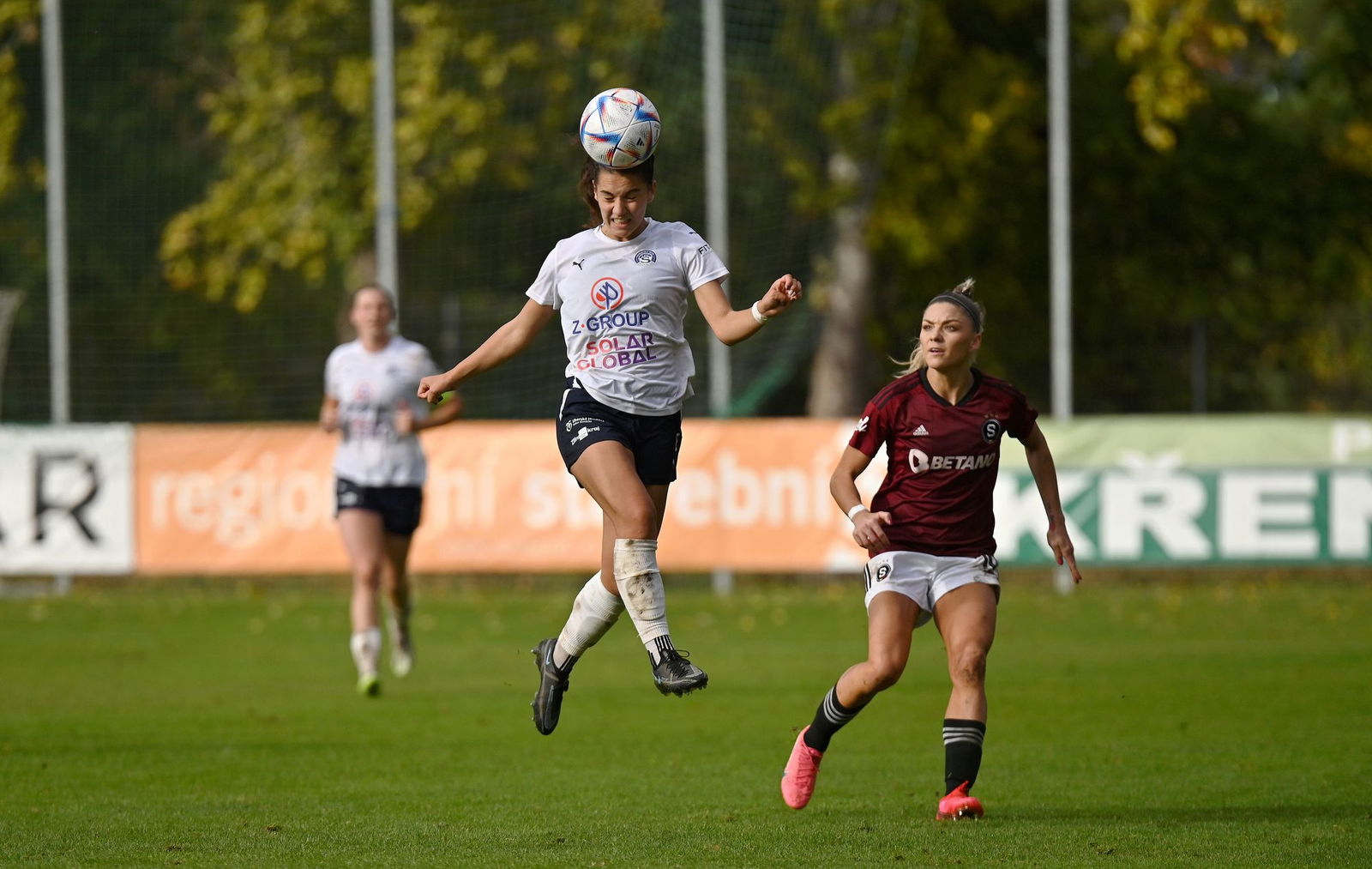 PJml_20231014_234889_web