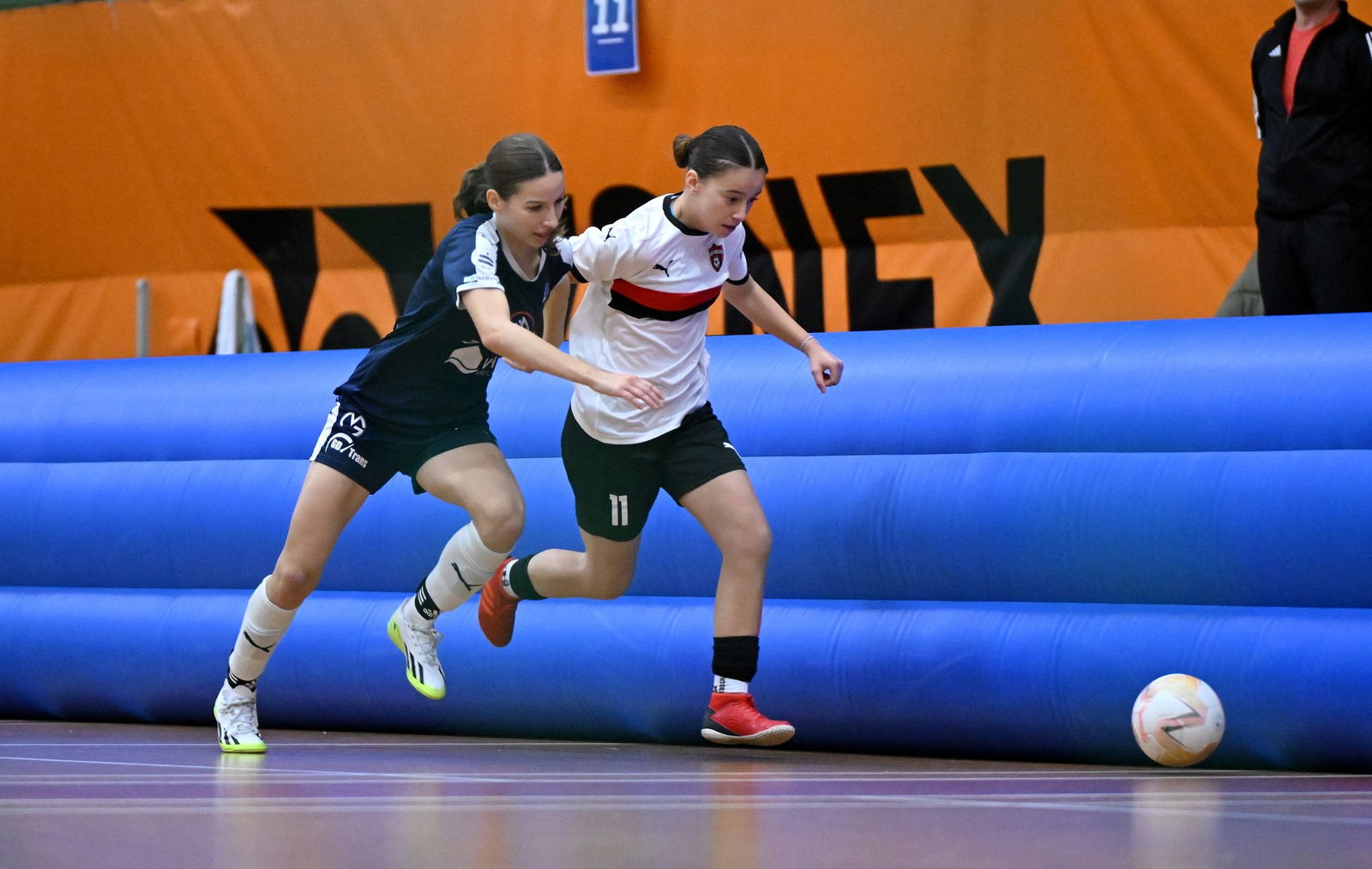 PJml_20241123_303186_web