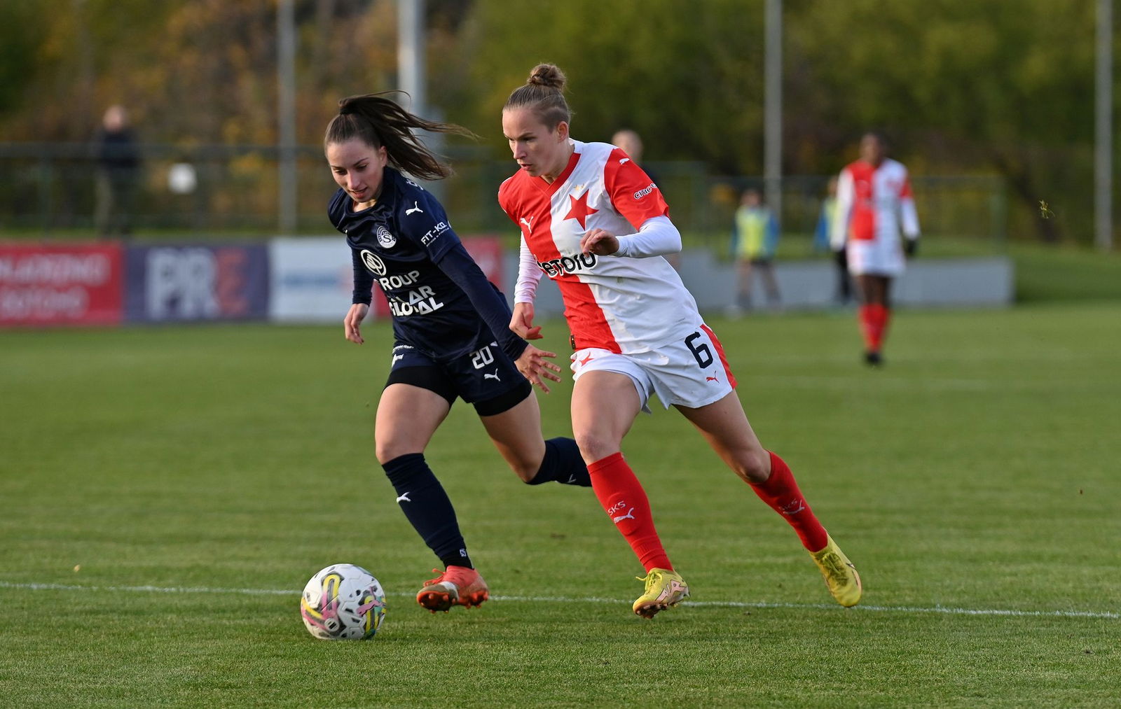 PJml_20231110_244624_web