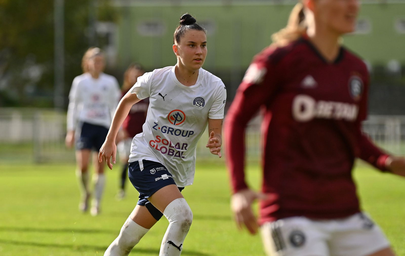 PJml_20231014_234885_web