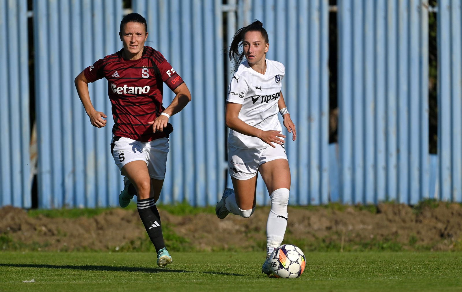 PJml_20240922_296781_web