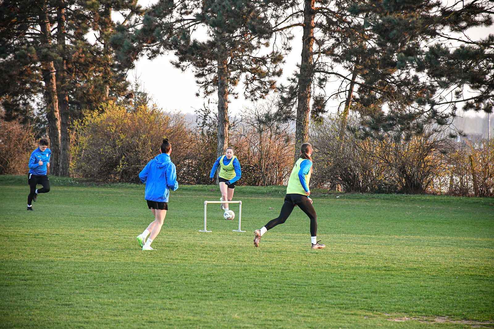 DSC_0459_20240307_pred_jarem_1920