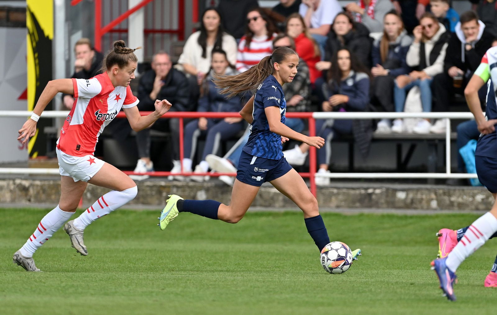 PJml_20240929_297050_web