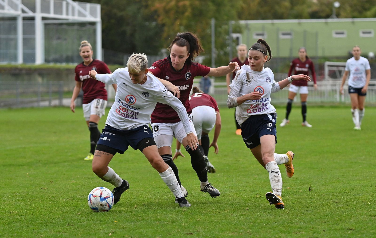 PJml_20231014_234959_web