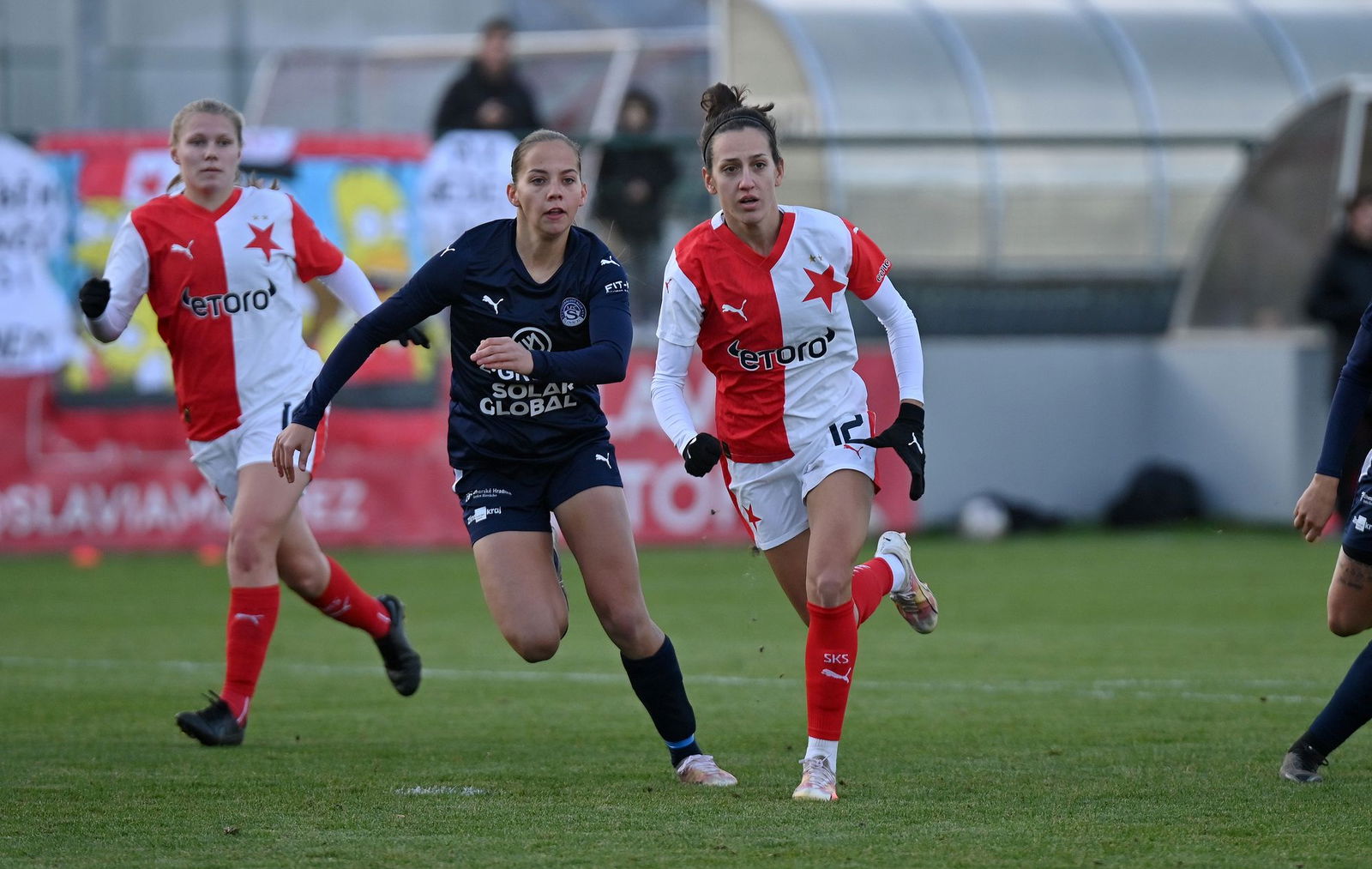 PJml_20231110_244668_web