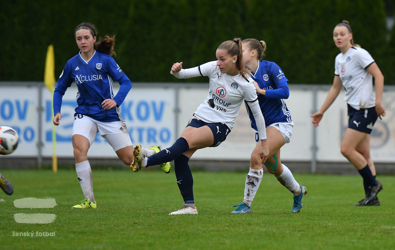 PJml_20221029_027022