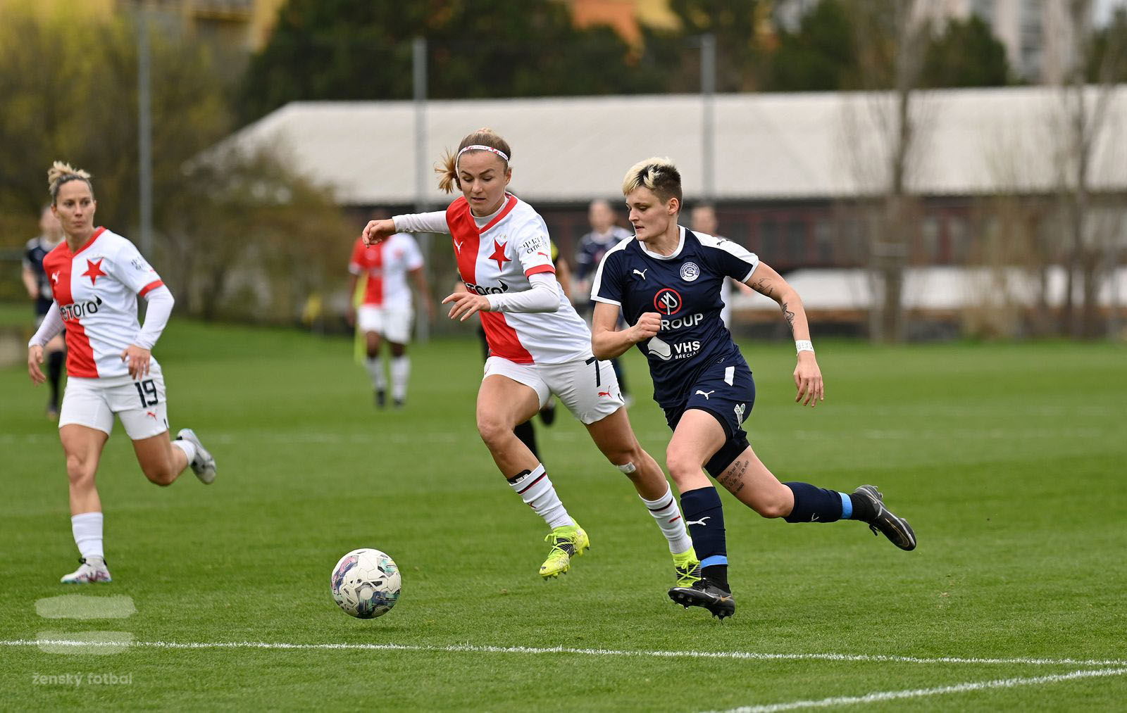 PJml_20230415_115192_web