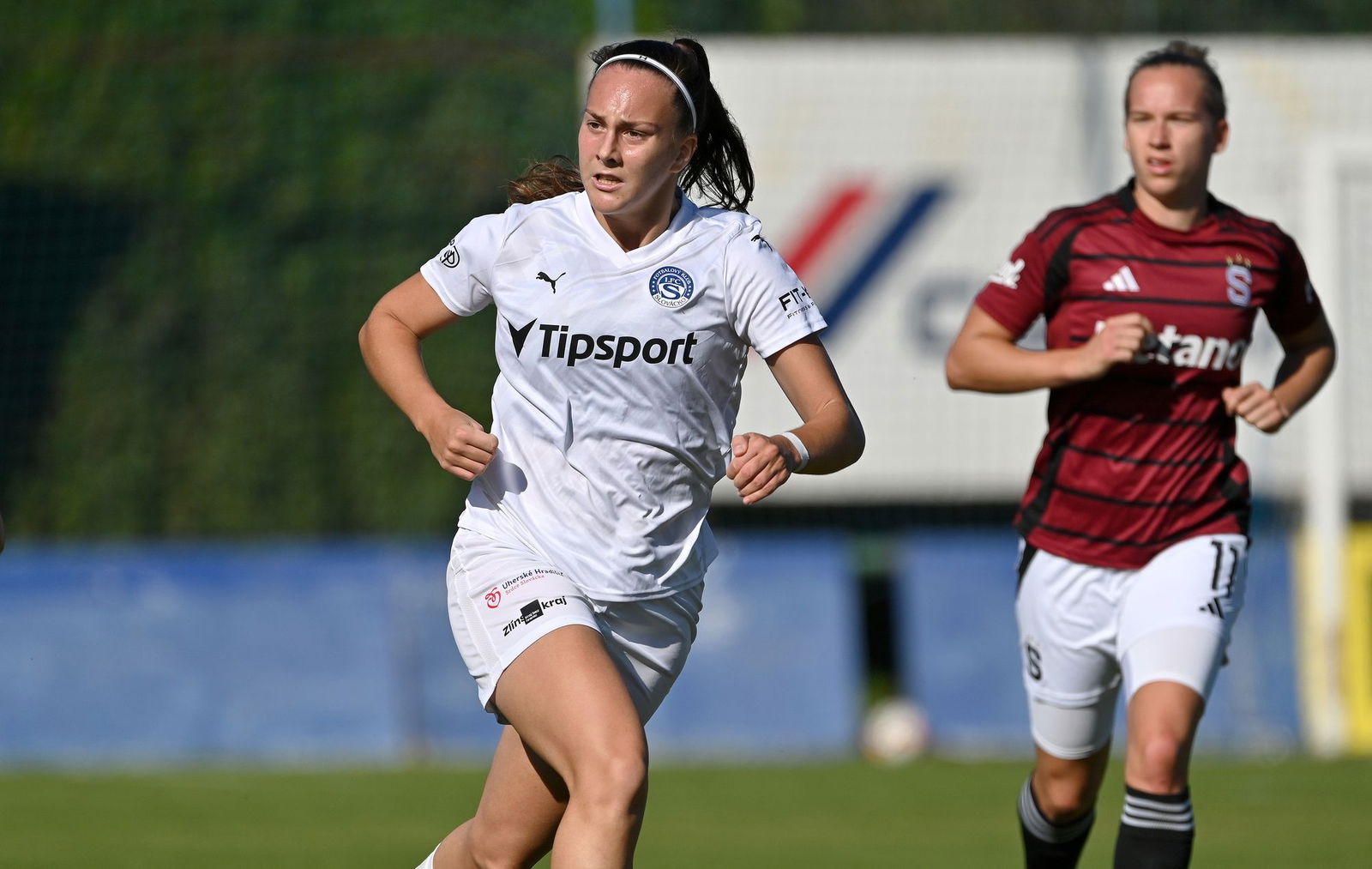 PJml_20240922_296737_web