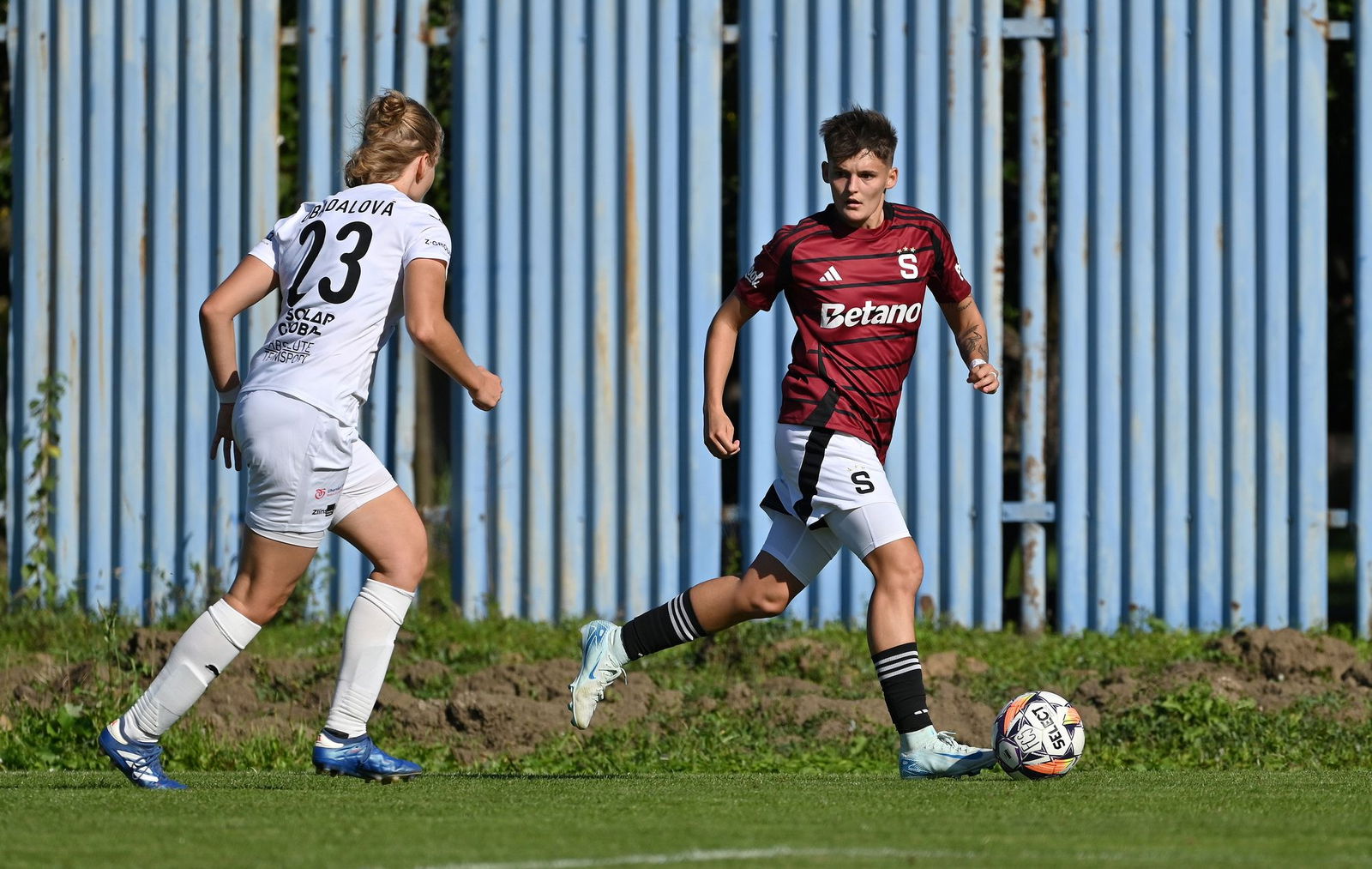 PJml_20240922_296722_web