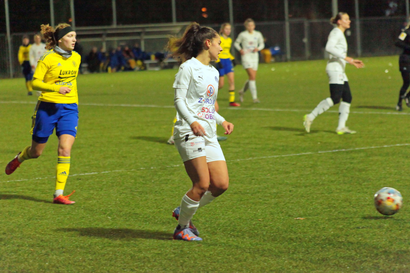 IMG_8347_20231124_zlnslo_2000