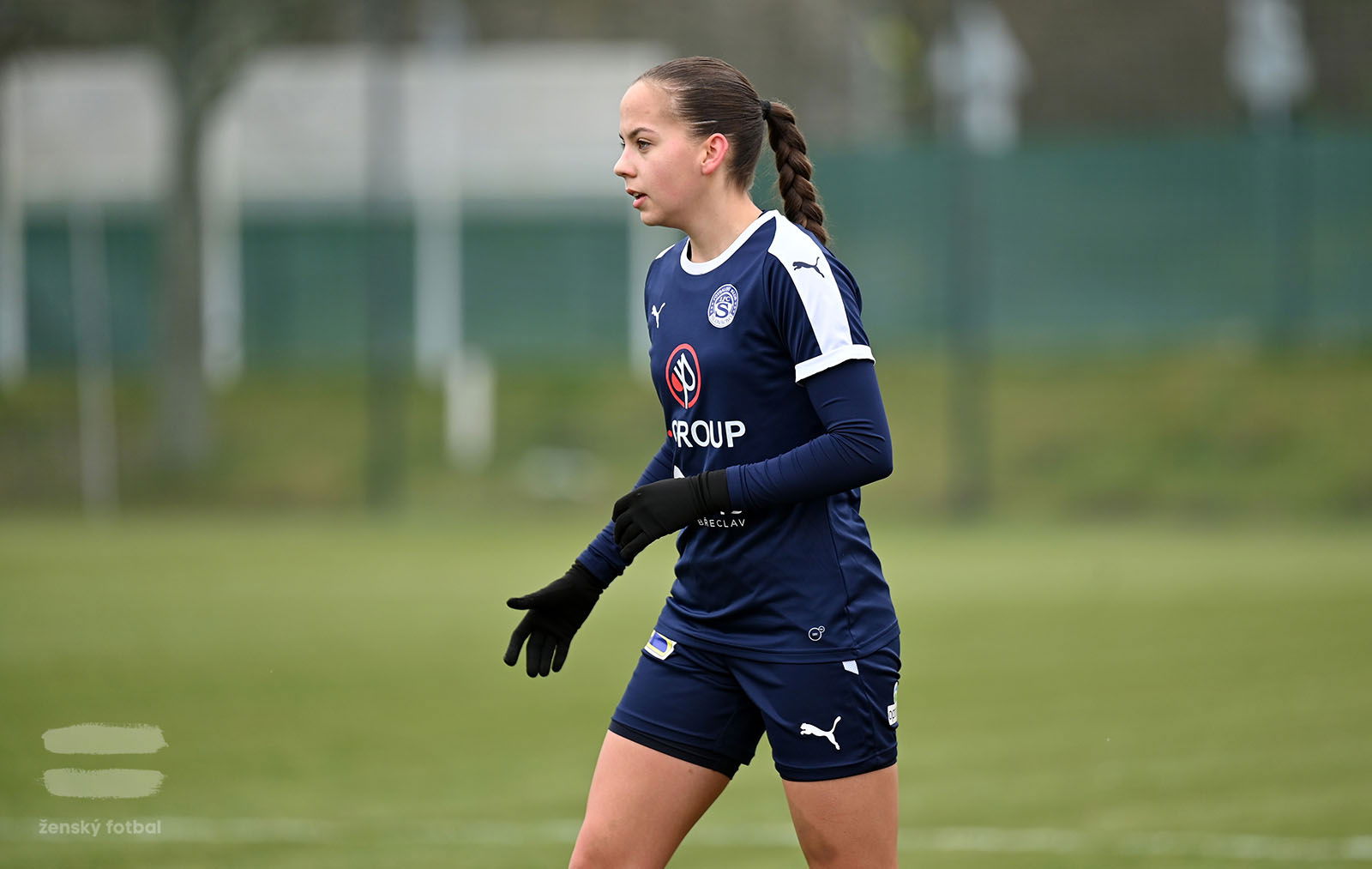 PJml_20230311_089932