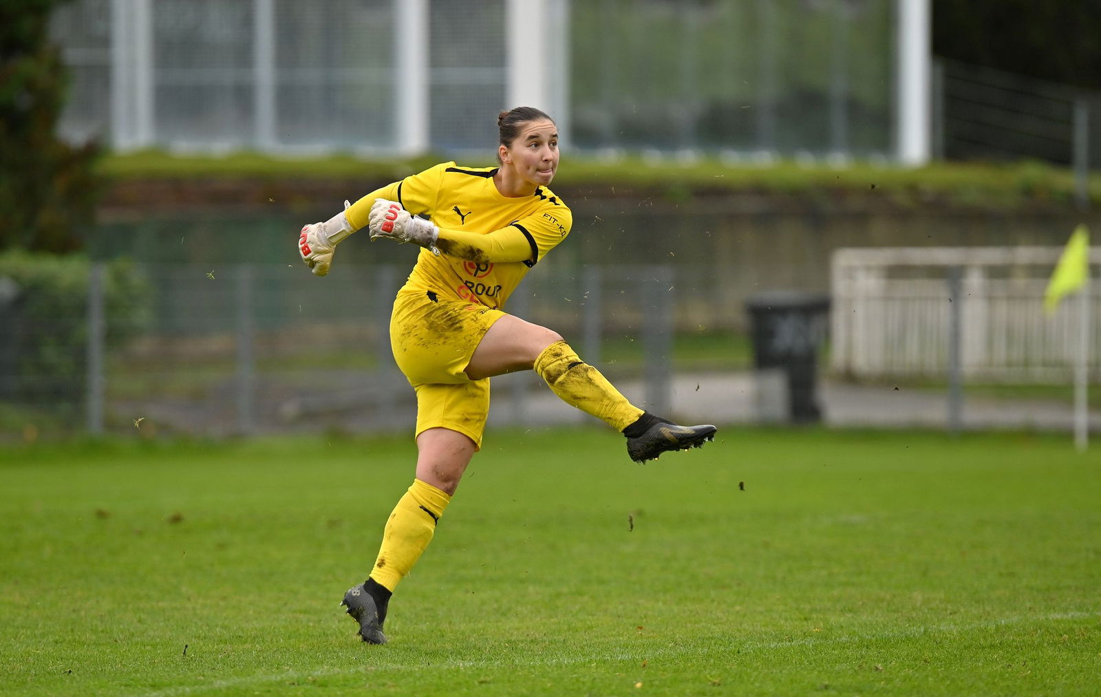 PJml_20231014_234870_web