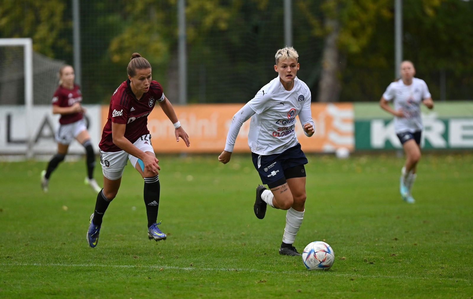 PJml_20231014_234954_web