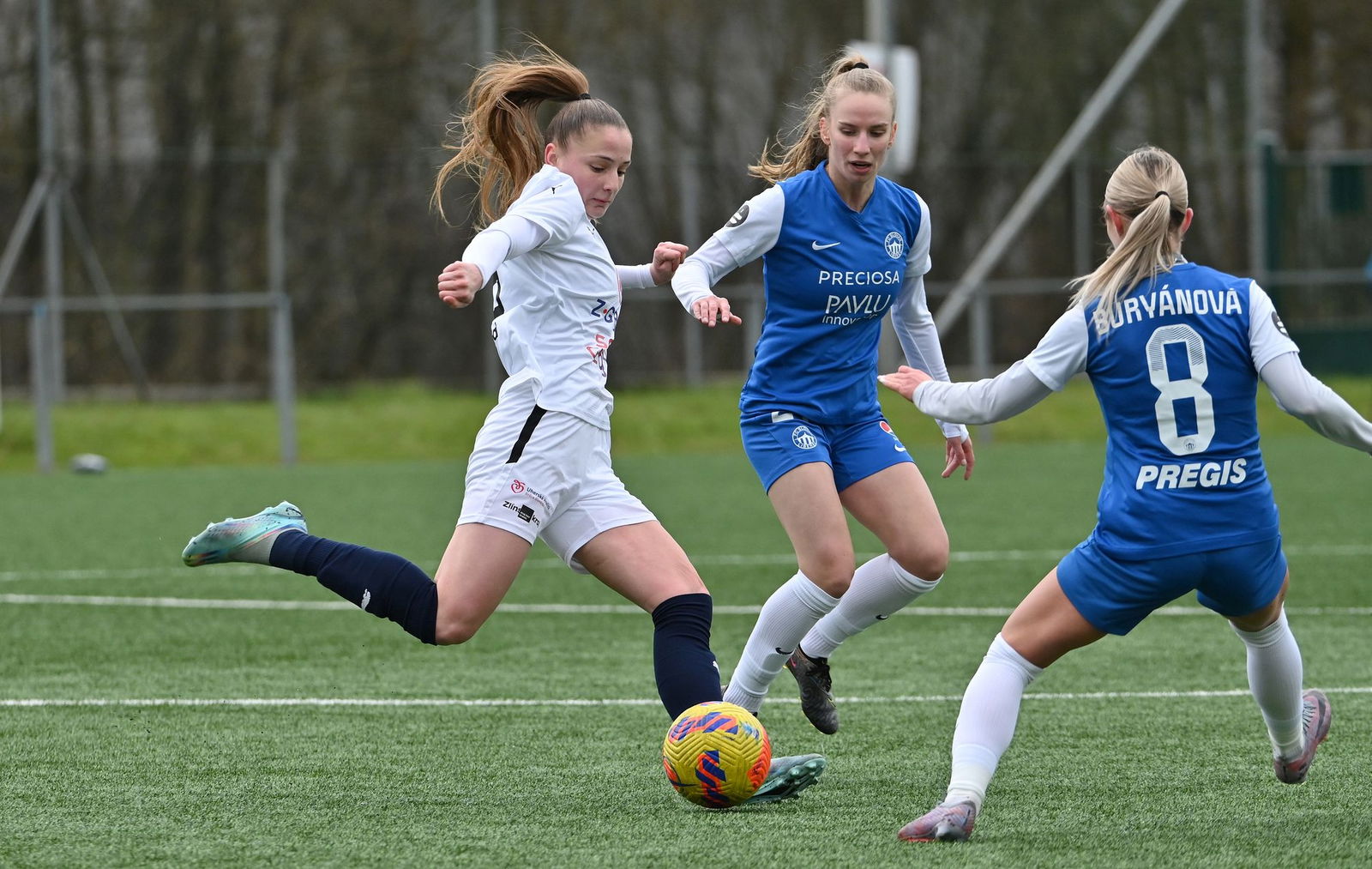 PJml_20240323_274398_web