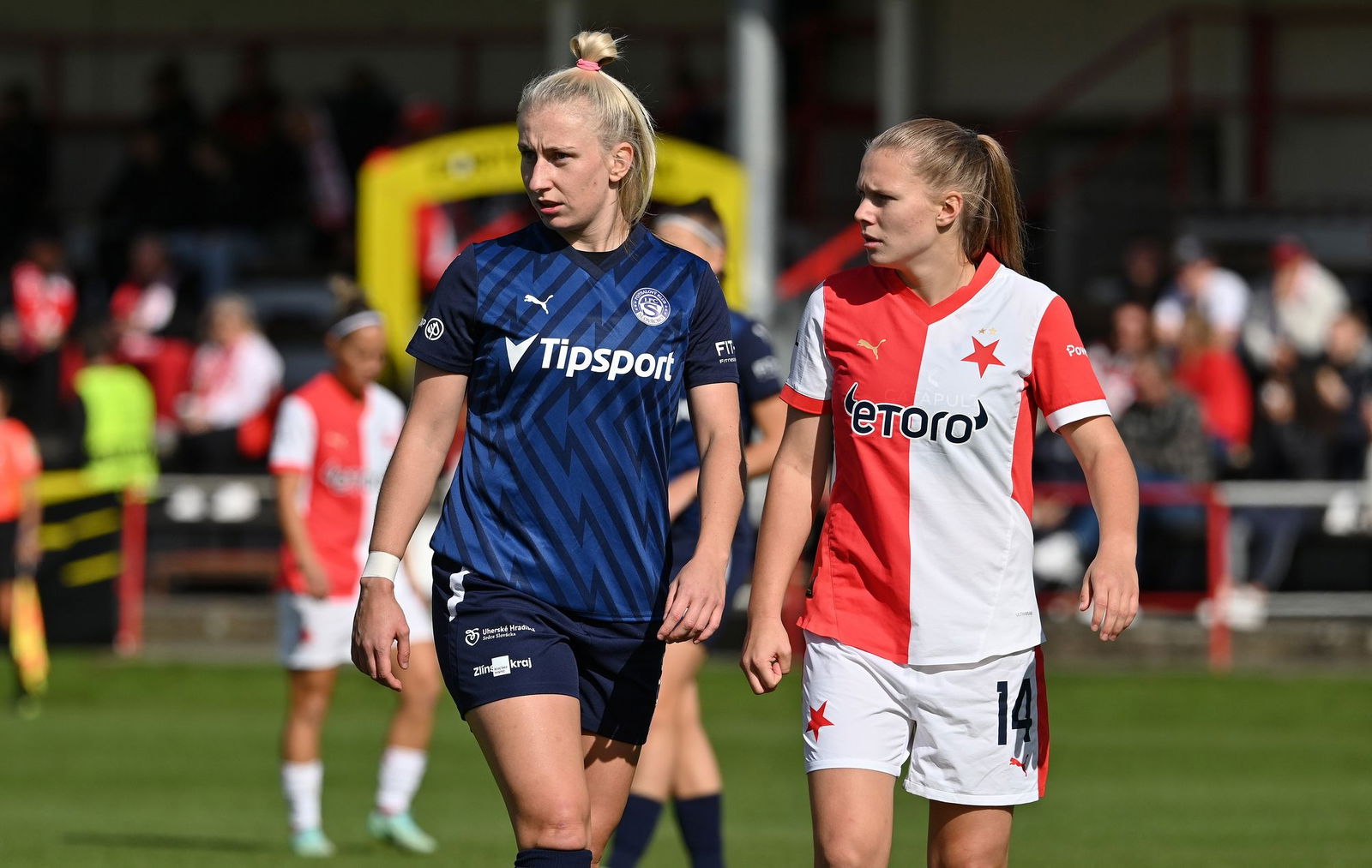 PJml_20240929_297022_web