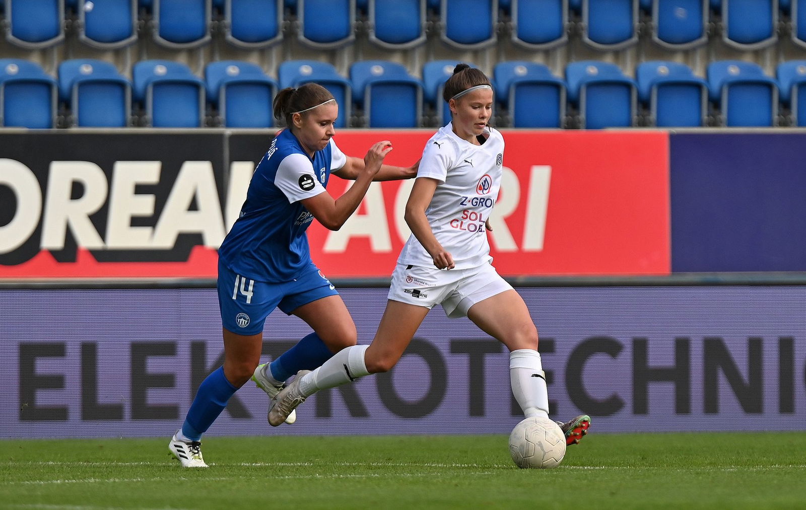 PJml_20231008_230915_web