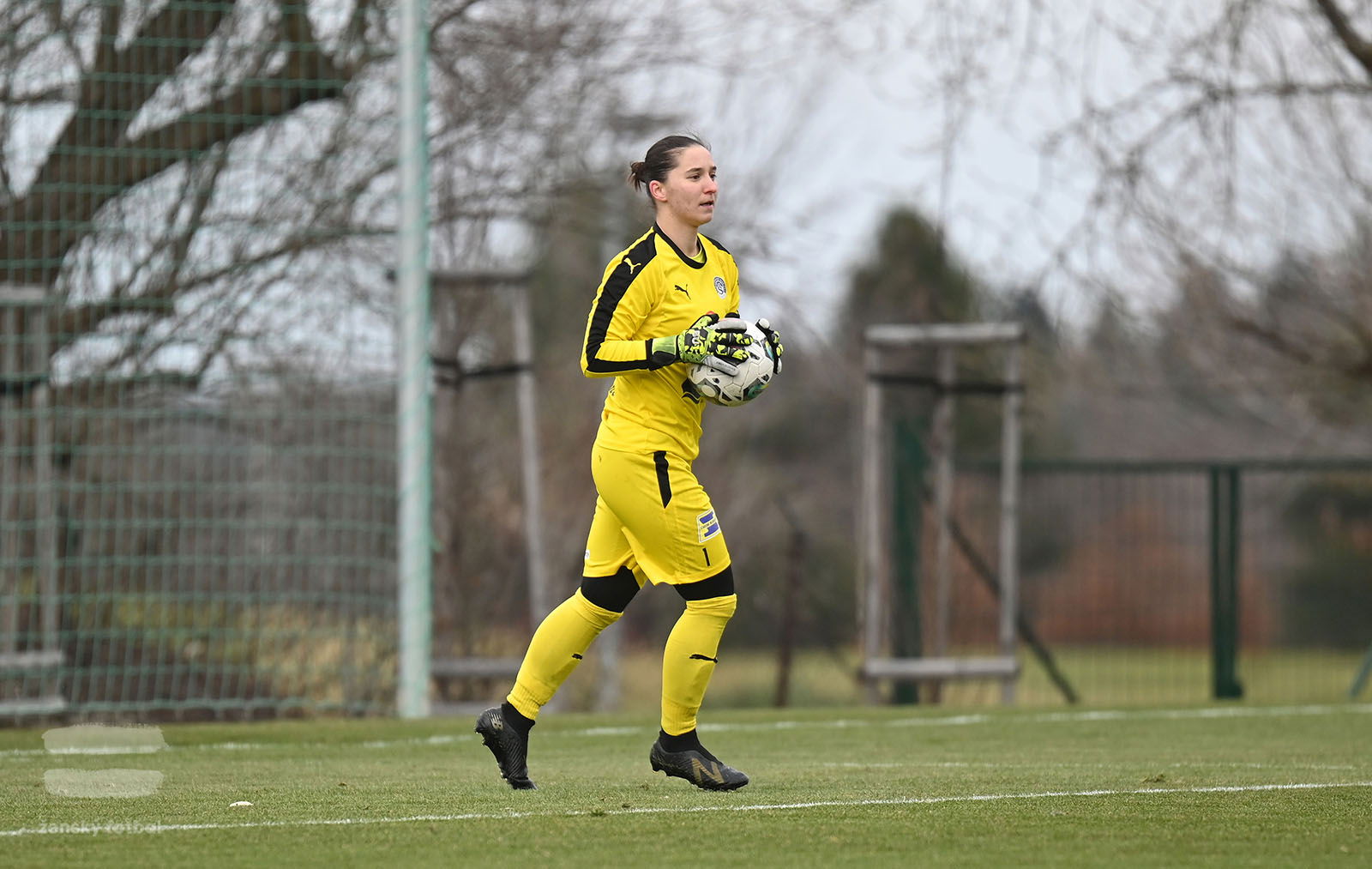 PJml_20230311_089986