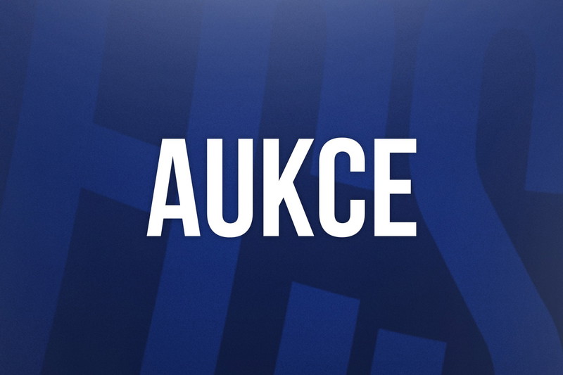 aukce