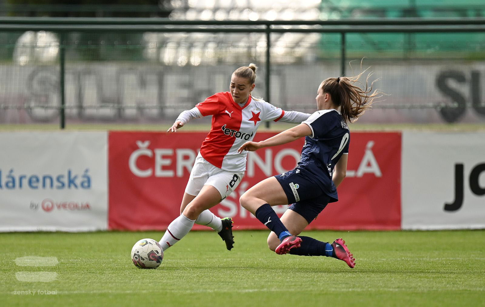 PJml_20230415_115613_web