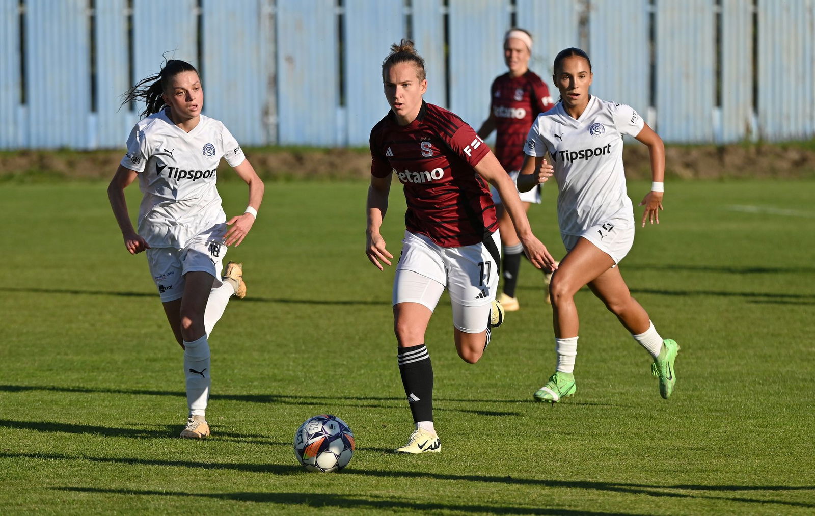 PJml_20240922_296811_web