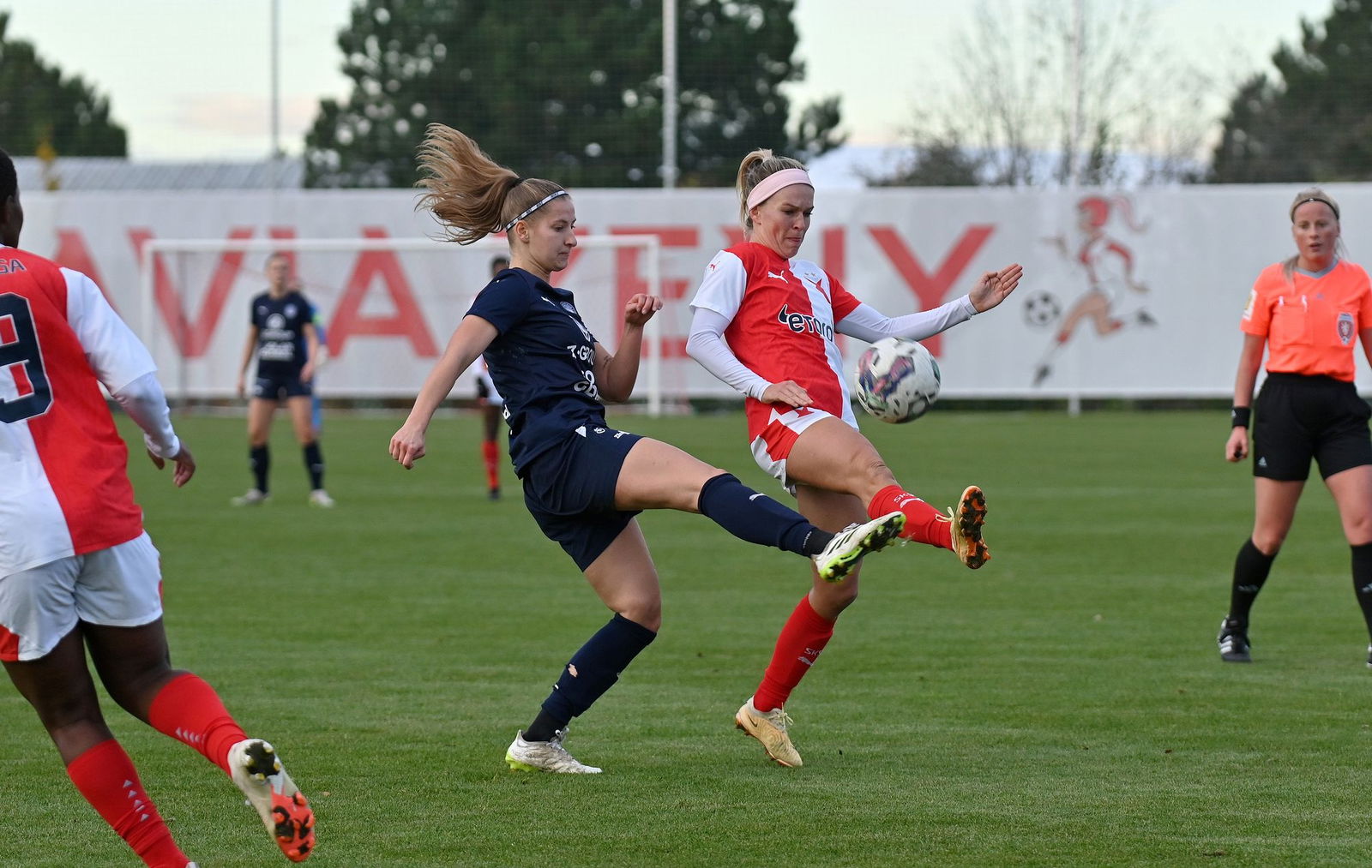 PJml_20231110_244650_web