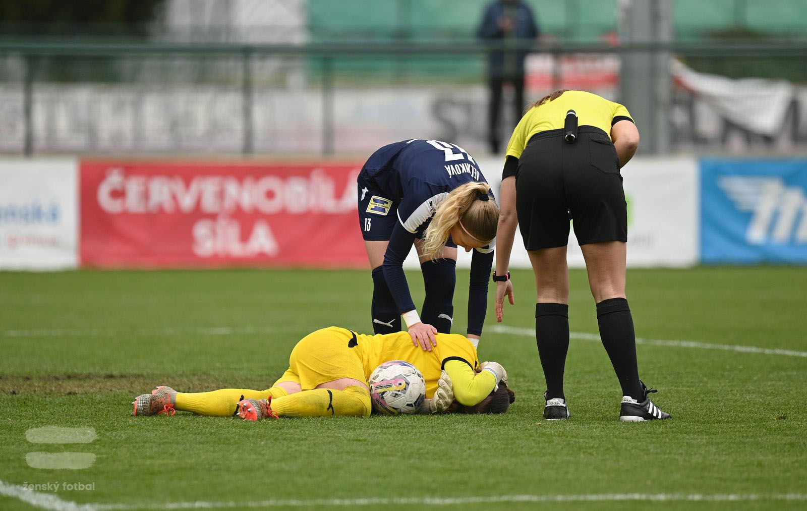 PJml_20230415_115368_web