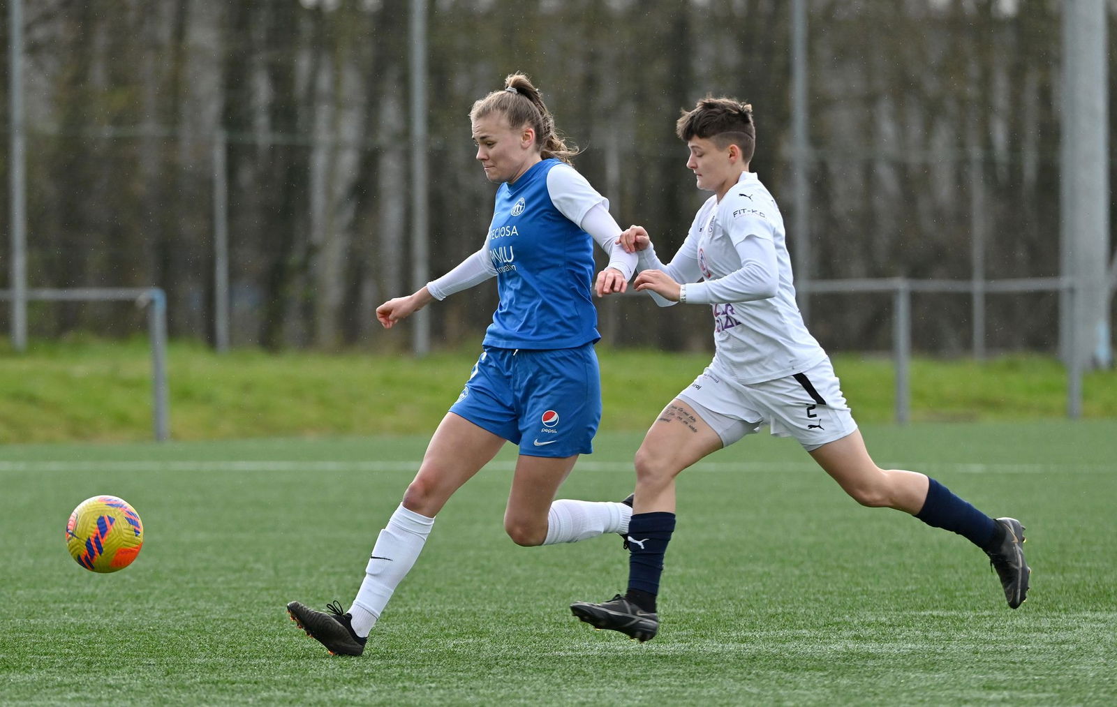 PJml_20240323_274511_web