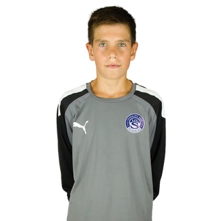 Michalčík Viktor