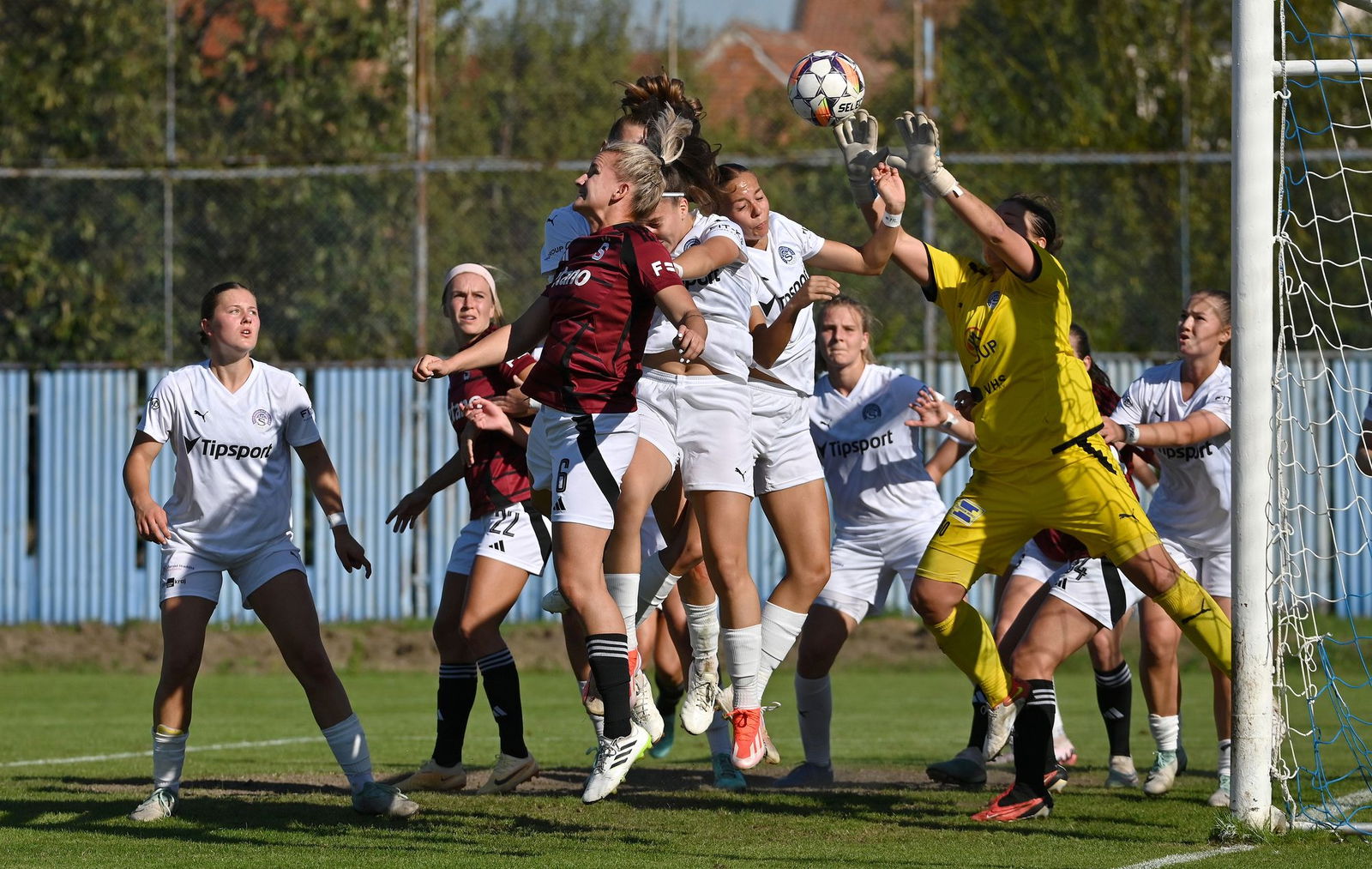 PJml_20240922_296742_web