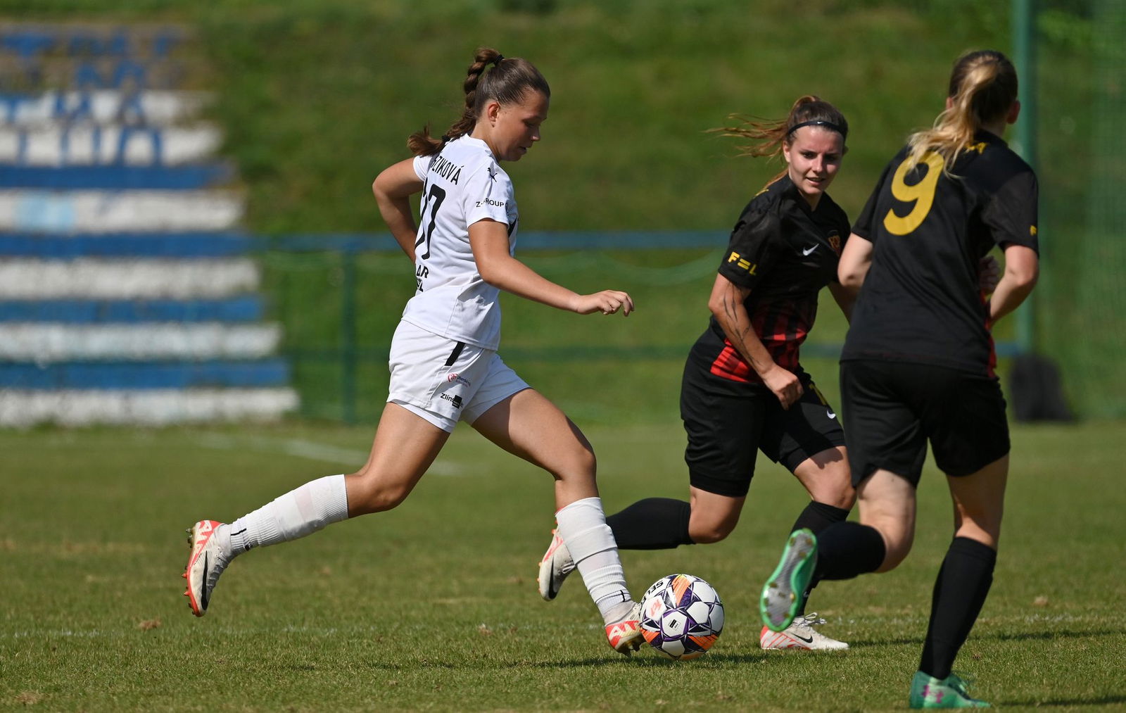 PJml_20240901_296180_web