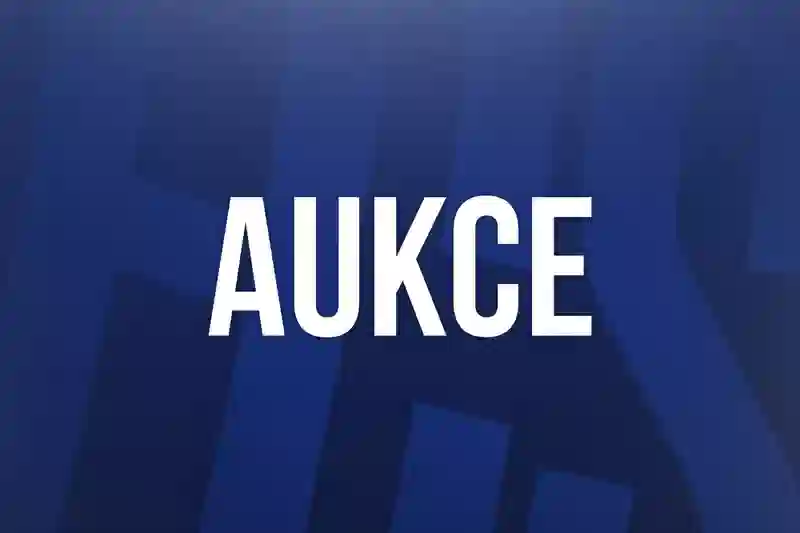 aukce111