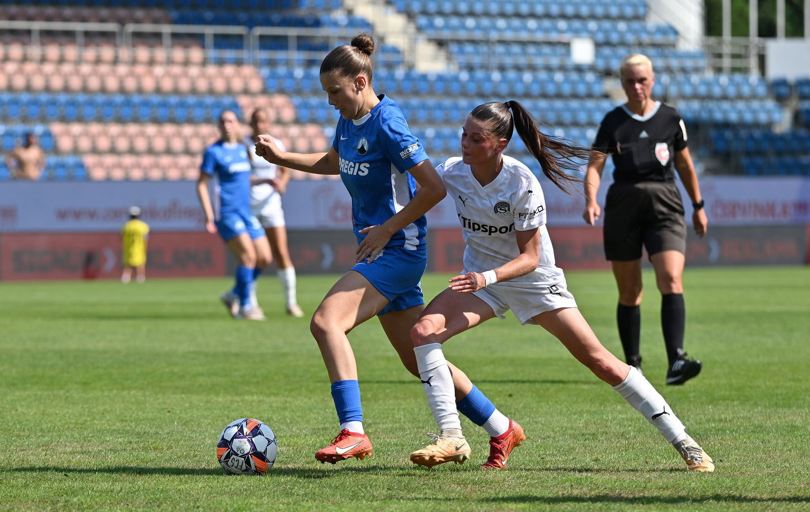 PJml_20240825_295287_web