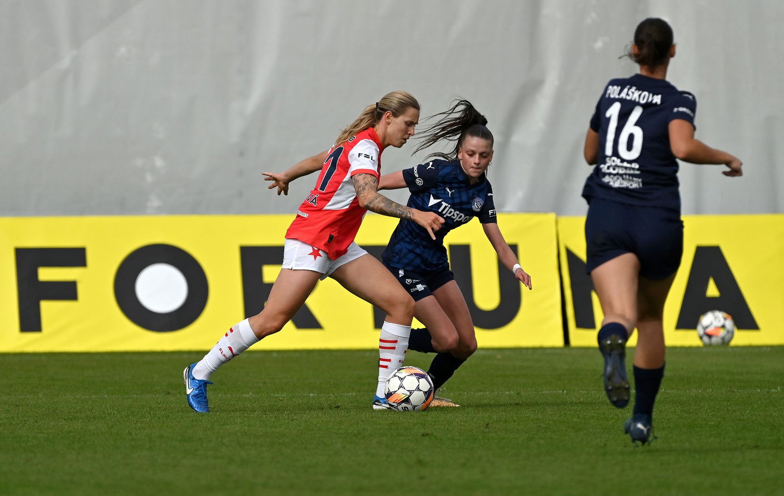 PJml_20240929_297067_web