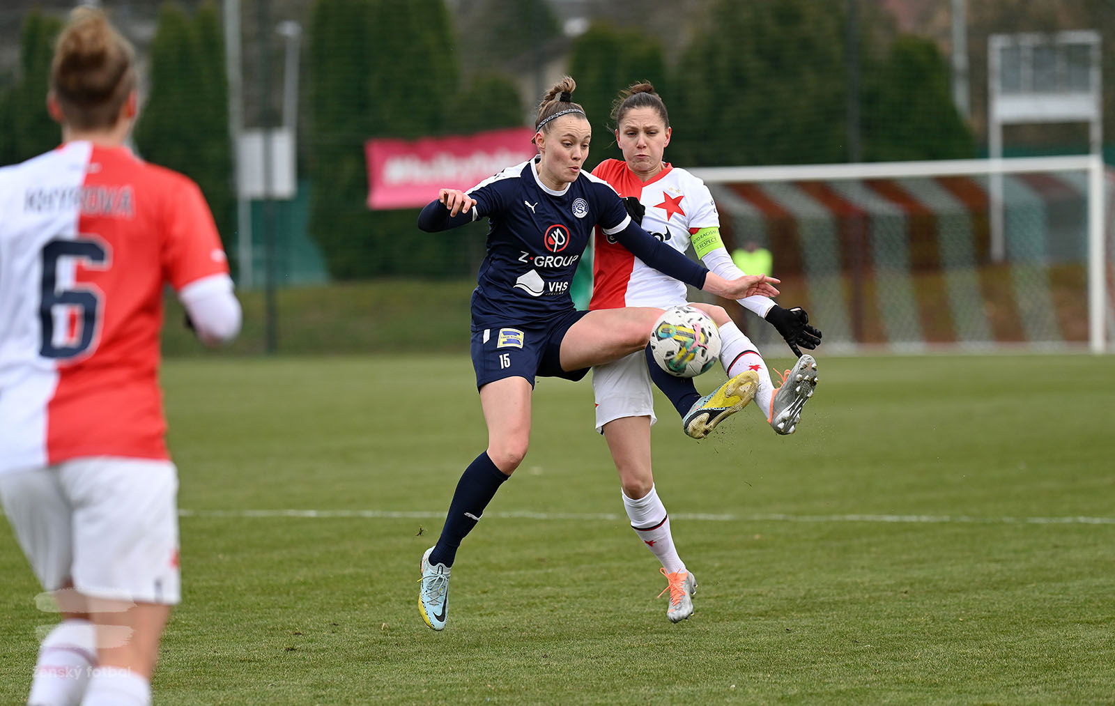 PJml_20230311_089971