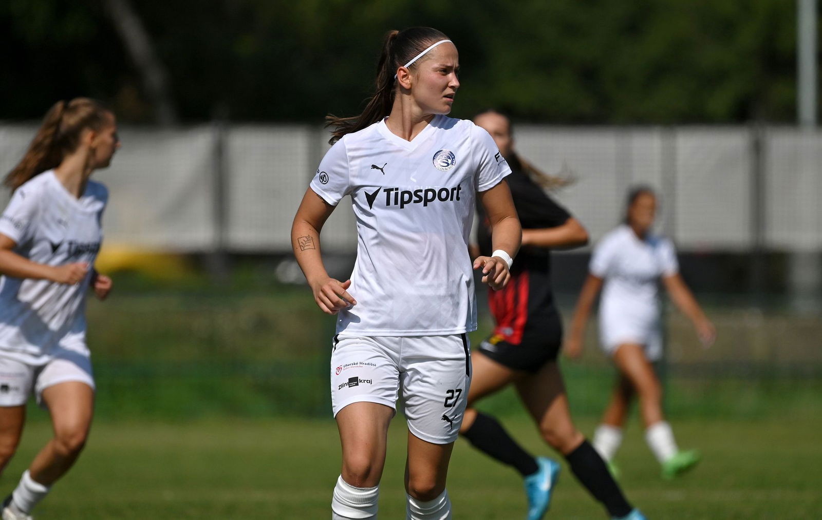 PJml_20240901_296171_web