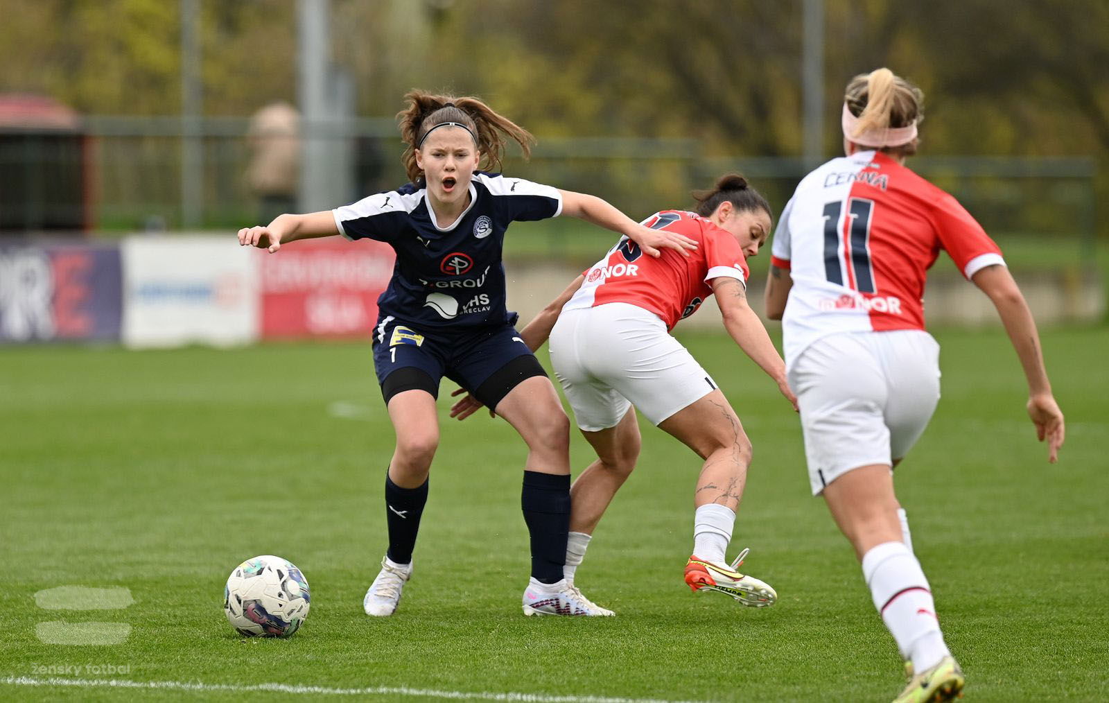 PJml_20230415_115135_web